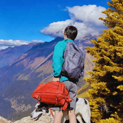 Convertible Leather Duffle & Backpack – One Bag, Two Styles - Medium size - Golden Crow